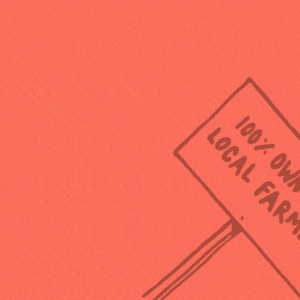 100% owned by local farmers